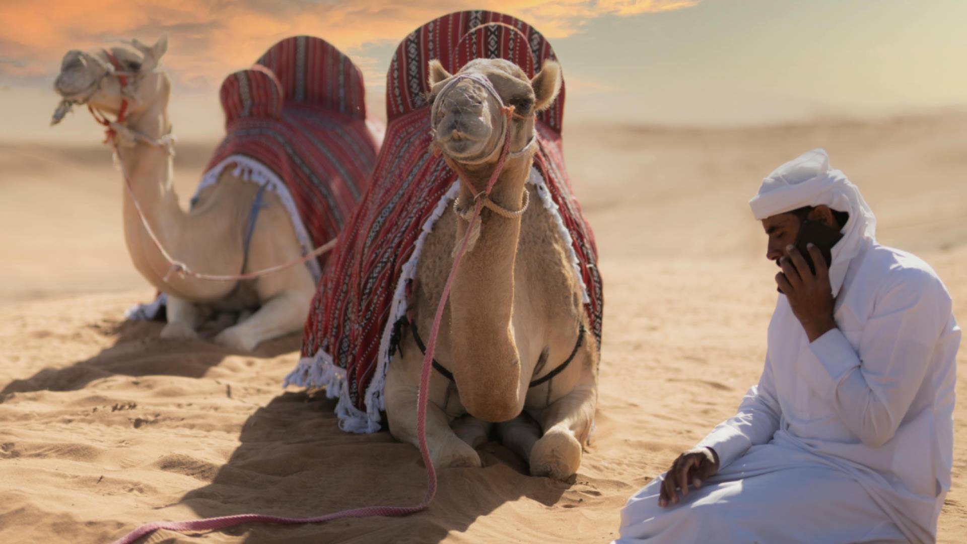 Arabok a magyar borvidékeken? Nem, csak rossz a fordítás