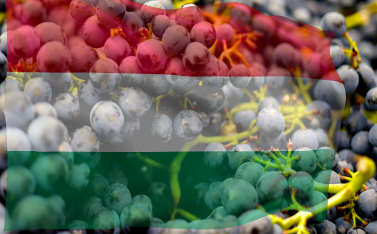 Magyar zászló, szőlő, bortermelés