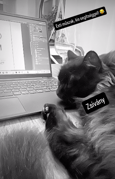 Takács Zsolt cica, Villány