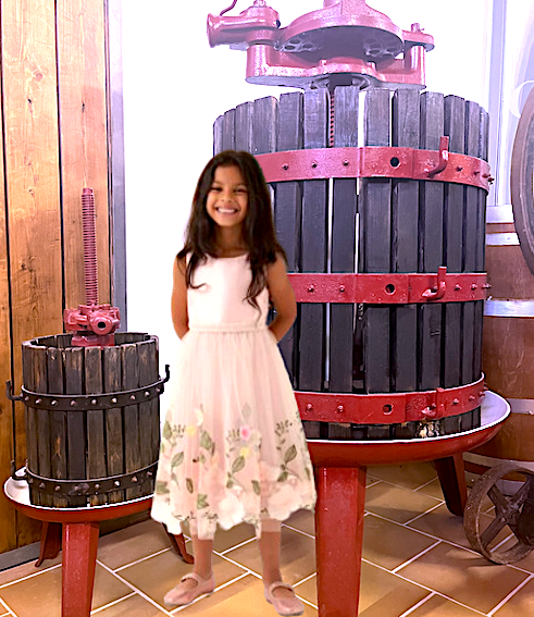 Gyerek méretű szőlőprés Olaszországban, Calabria, Ciró