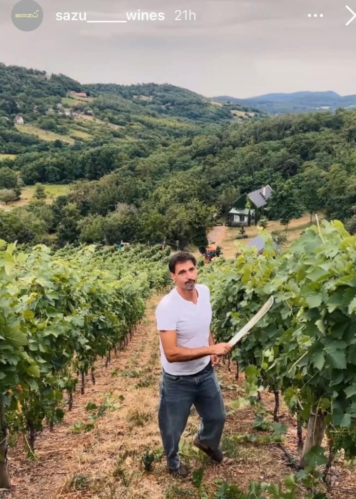 Sazü Balaton Blaskó Dávid