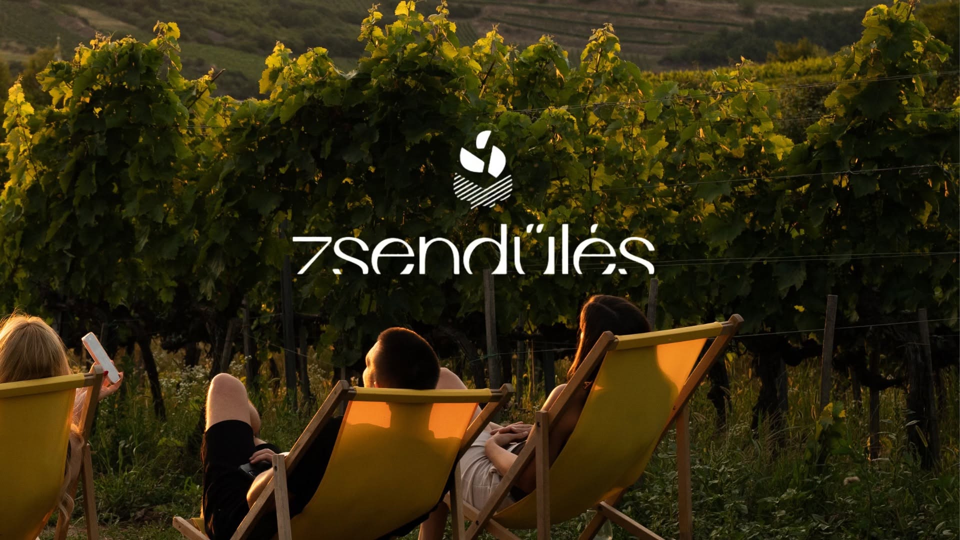 Mád zsendülés a szőlőben július 25-én